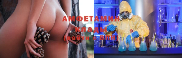 ECSTASY Елизово