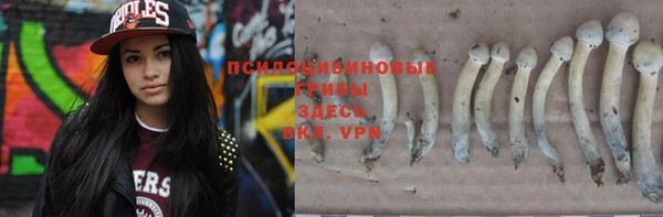 ECSTASY Елизово