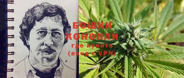 ECSTASY Елизово