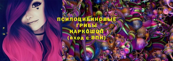 ECSTASY Елизово