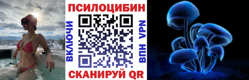 Купить где  Саров  Галлюциногенные грибы Magic Shrooms 